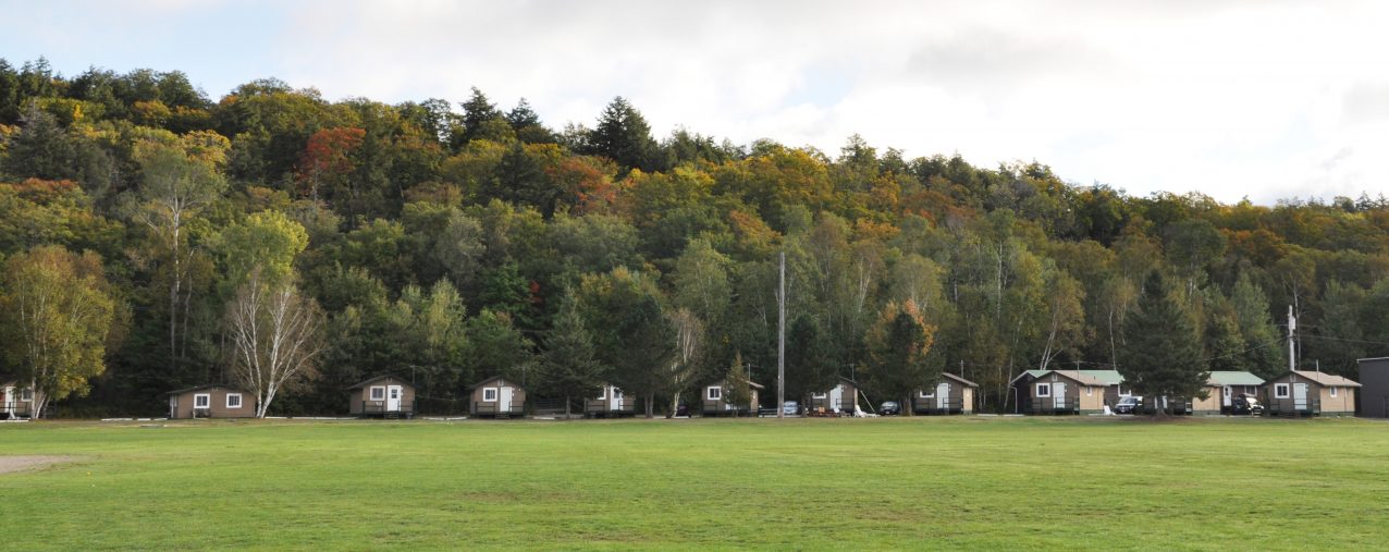 Olympia Family Cabin Rentals: our cabins