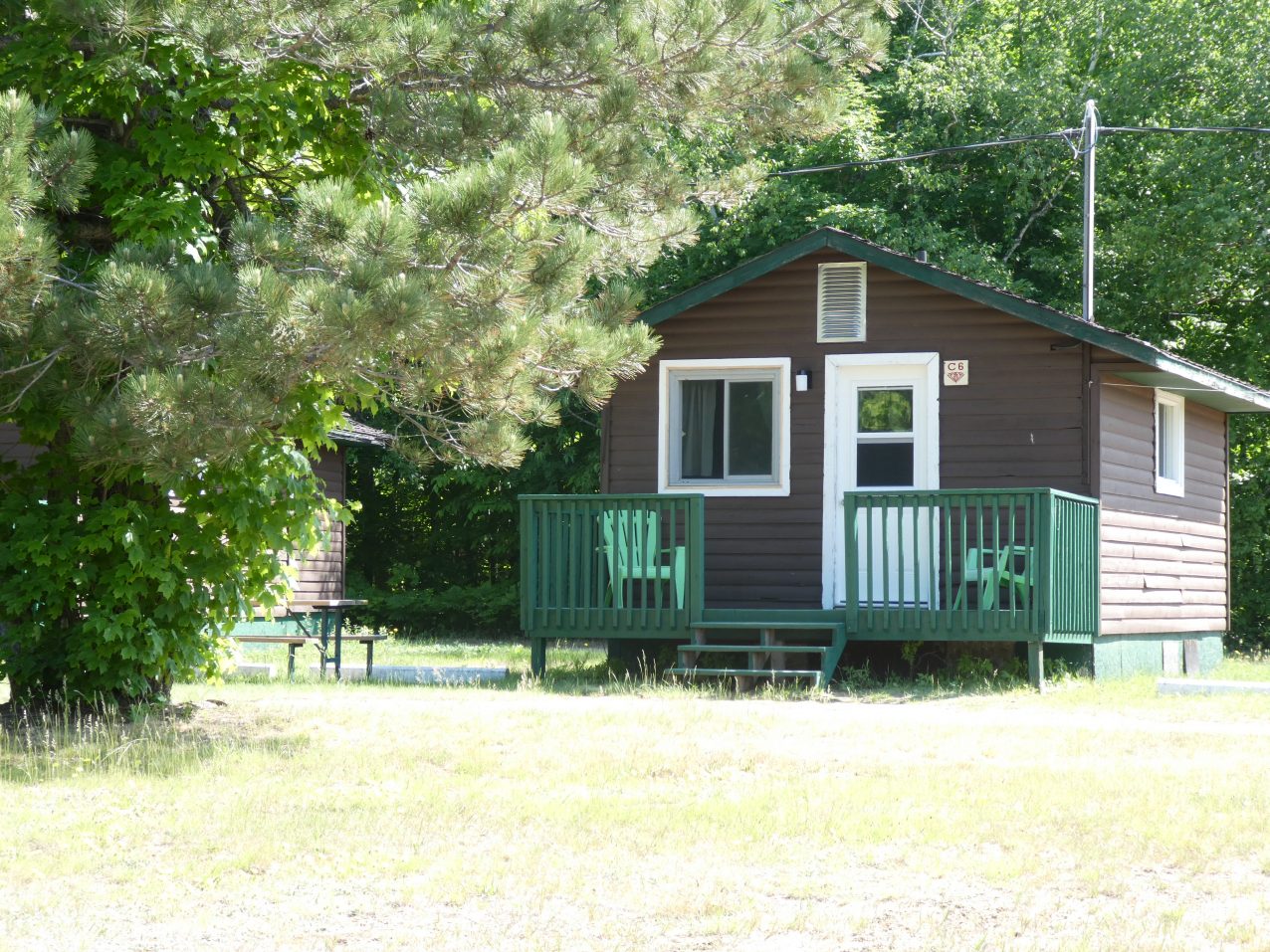 Olympia Family Cabin Rentals: the cabins
